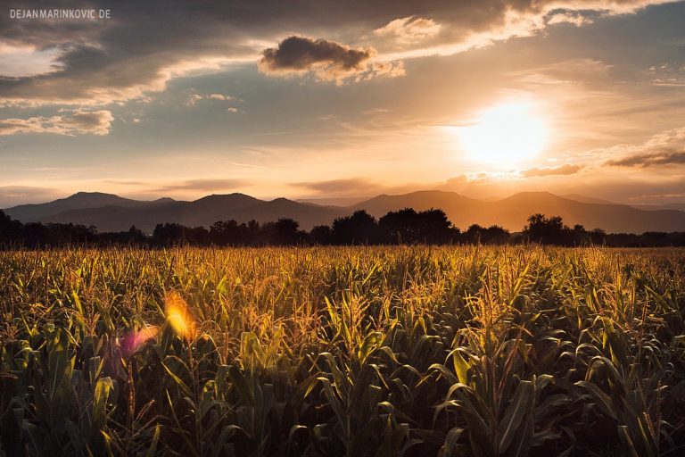 Pic. Source: "Sunset" by Alsace @Deviantart.com