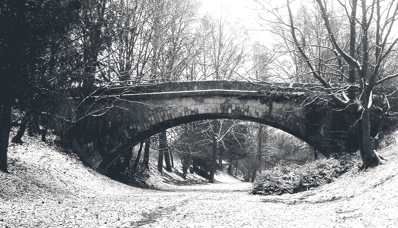 Pic. Source: "Pont." by Nikkiestardust @Deviantart.com