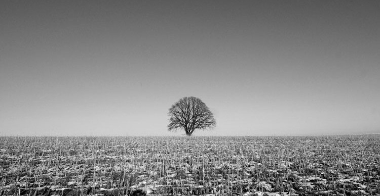 Pic. Source: "Nowhere" by Augenweide @Deviantart.com