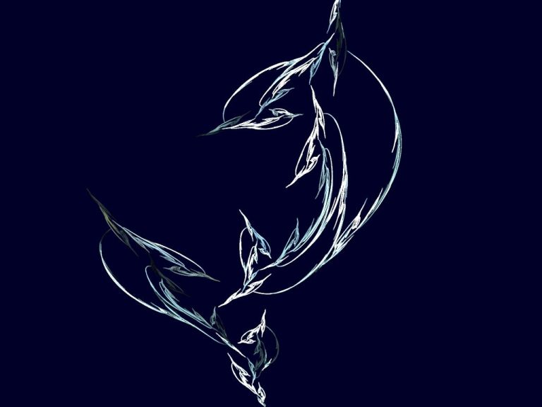 Pic. Source: "Dolphin" by Toxicgirlfriend @Deviantart.com