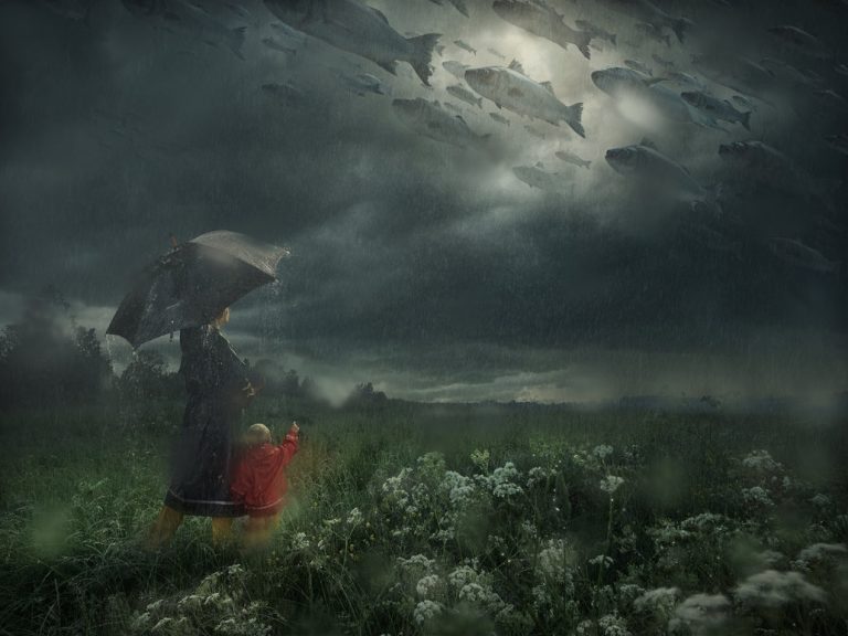 Pic. Source: "Lost in the Rain" by Alltelleringet @deviantart.com