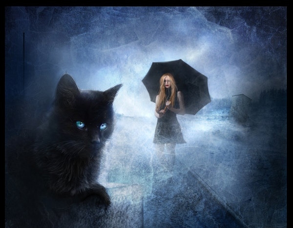 Pic.Source: "Cat Night" by Morbidiamorthel @deviantart.com