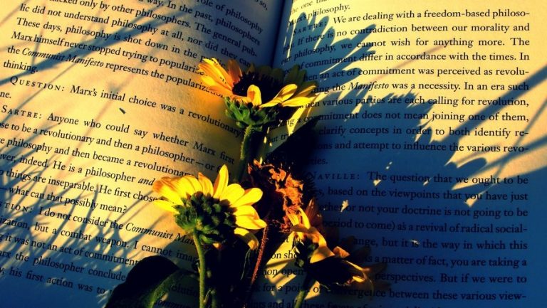 Pic.Source: "The Beauty of Philosophy" by Identifyed-Khaos @deviantart.com
