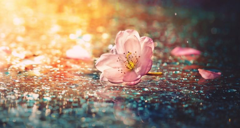 Pic.Source: "without you here" by mylifethroughthelens @deviantart.com