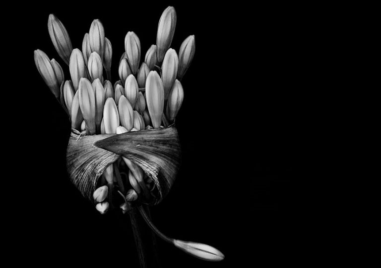 Pic.Source: "deixa me partir p" by du la @deviantart.com