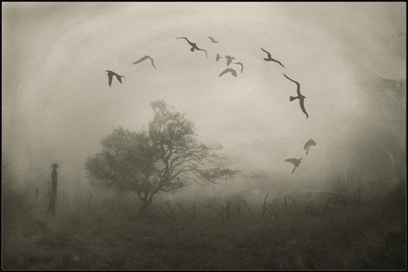 Pic.Source: "autumn" by floriandra @deviantart.com
