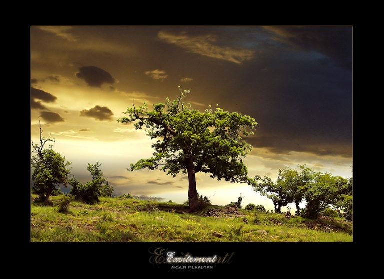 Pic.Source: "Excitement" by deviantik @deviantart.com