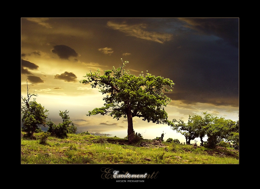 Pic.Source: 