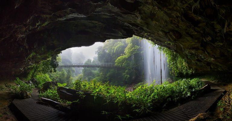 Pic.Source: "dorrigo 6819" by drewhopper @deviantart.com