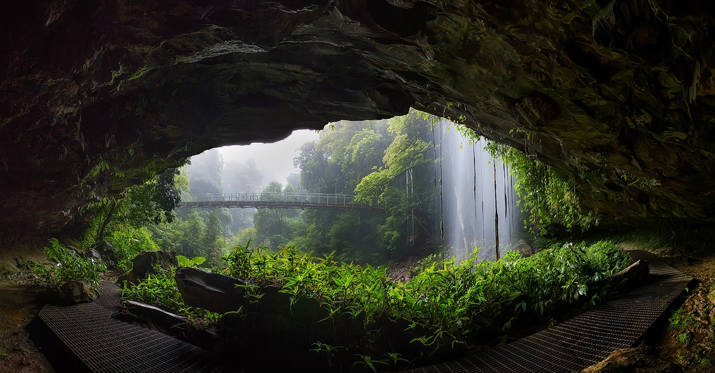 Pic.Source: "dorrigo 6819" by drewhopper @deviantart.com