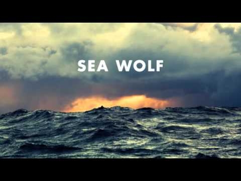 MeoMüzik – Sea Wolf – Dear Fellow Traveler