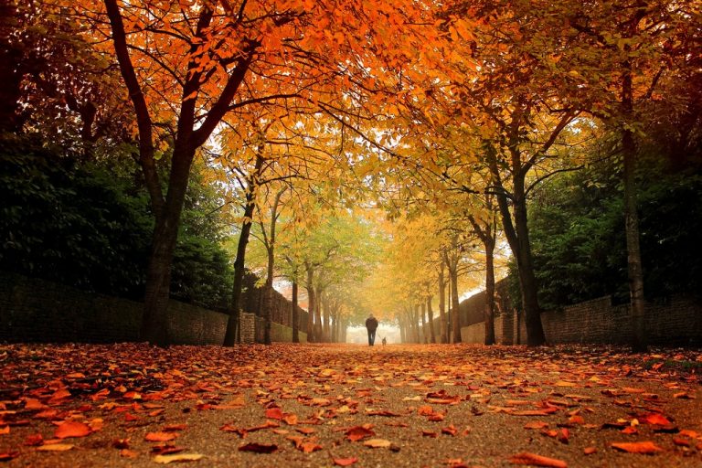 Pic.Source: "Autumn Park" by Coigach @deviantart.com