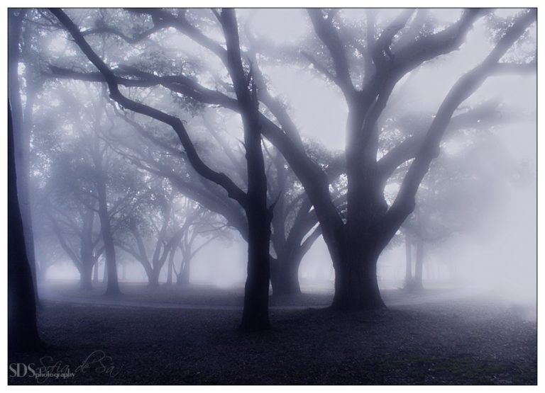 Pic.Source: "My Twisted Dream" by pinica @deviantart.com