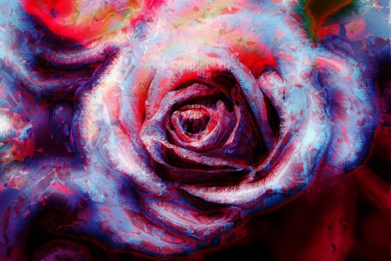 Pic.Source: "abstract rose" by astoko @deviantart.com