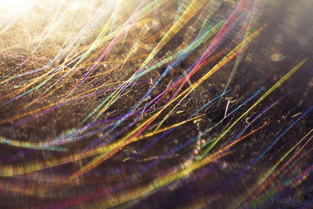 Pic.Source: "Day 253" by FramedByNature @deviantart.com