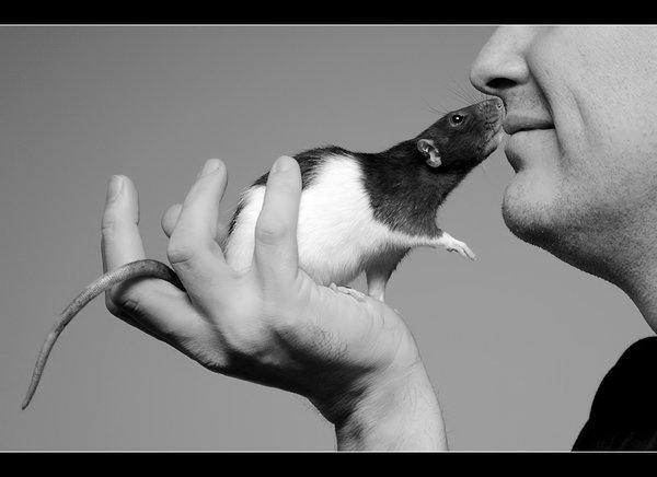 Pic.Source: "Animal Lover" by LadyTara @deviantart.com