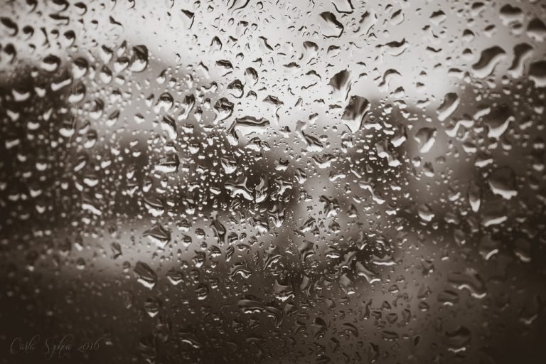 Pic.Source: "074 - Rainy days" by CarlaSophia @deviantart.com