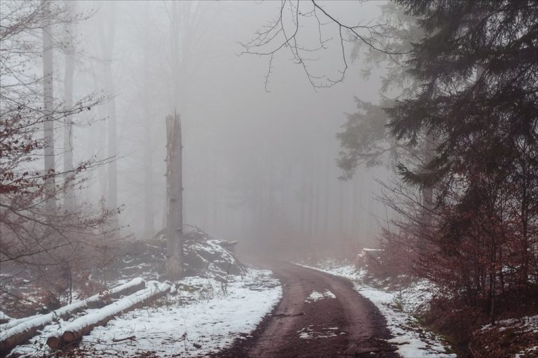 Pic.Source: "The Old Path X" by Aenea-Jones @deviantart.com