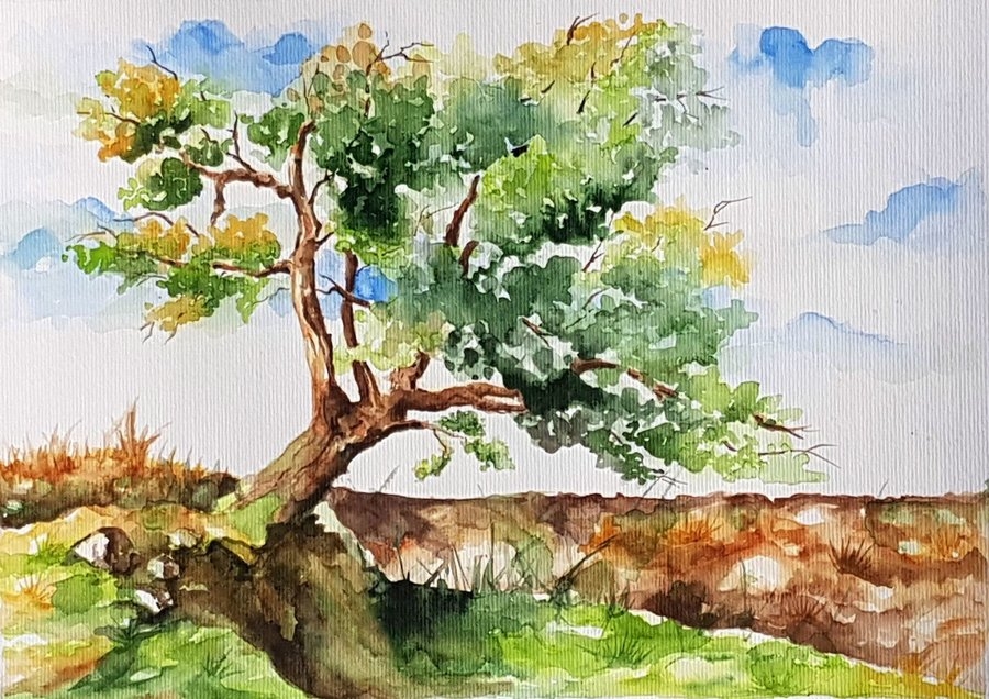 Pic.Source: 