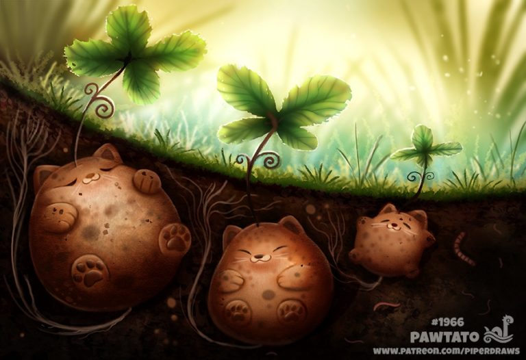 Pic.Source: "Pawtato" by Cryptid-Creations @deviantart.com