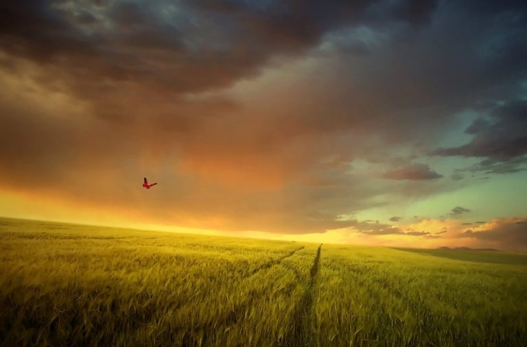 Pic.Source: "Serenity .." by Ash-3xpired @deviantart.com
