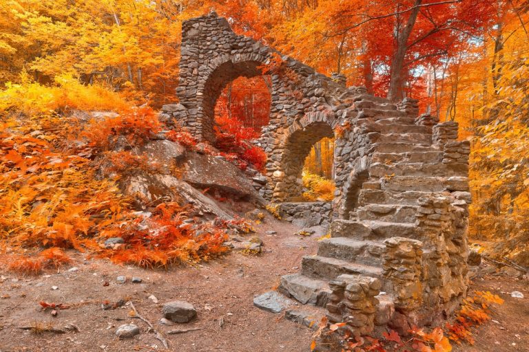 Pic.Source: "Forest Inferno Ruins" by somadjinn @deviantart.com