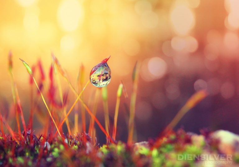 Pic.Source: "I missed you ..." by diensilver @deviantart.com