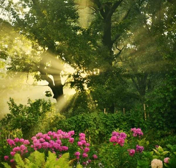 Pic.Source: "That Garden" by Astranat @deviantart.com