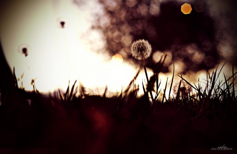 Pic.Source: " Autumn" by Nakrocp @deviantart.com