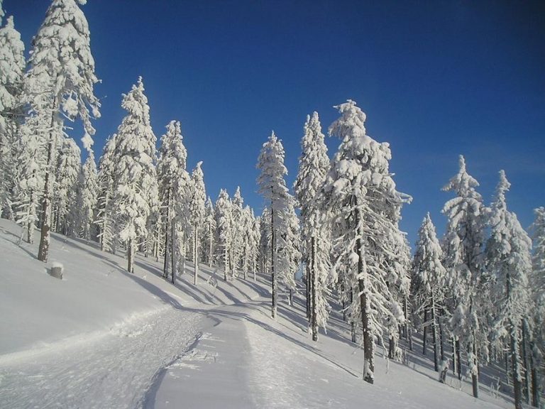 Pic. Source: "Snow" by Wiklunda @Deviantart.com
