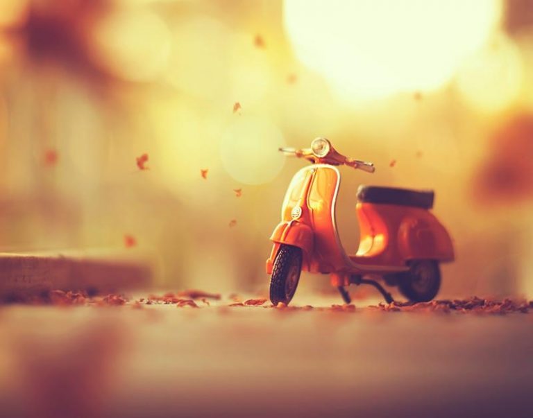 Pic.Source: "Autumn's Arrival" BY arefin03 @deviantart.com