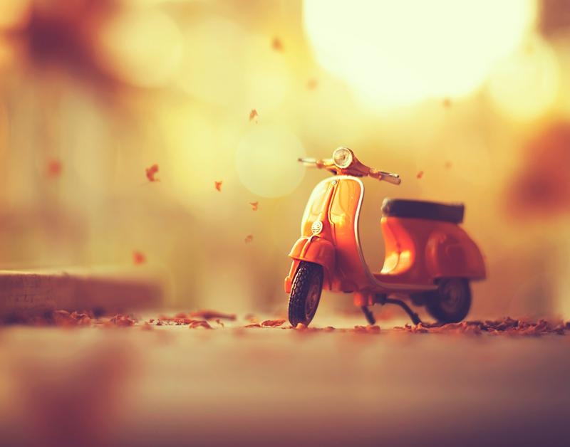 Pic.Source: "Autumn's Arrival" BY arefin03 @deviantart.com