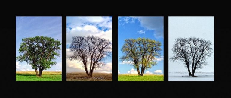 Pic.Source: "Four seasons of loneliness" BY TodirutVlad @deviantart.com