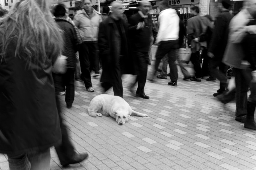 loneliness by murme1