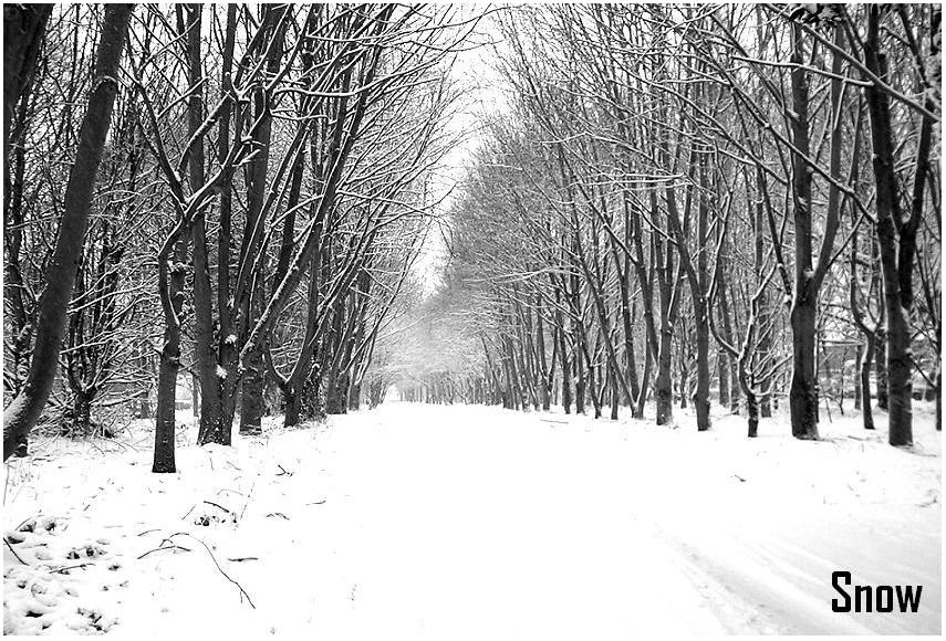 snoW by Jodmiester1