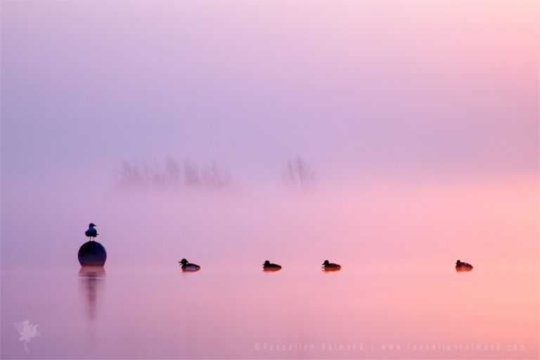 Pic.Source: "Empty Spaces IV | Sunrise in the Mist" BY thrumyeye @deviantart.com
