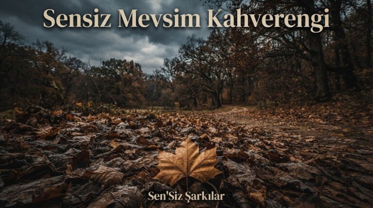 MeoMusicTR – Sensiz Mevsim Kahverengi – ŞARKI SÖZLERİ